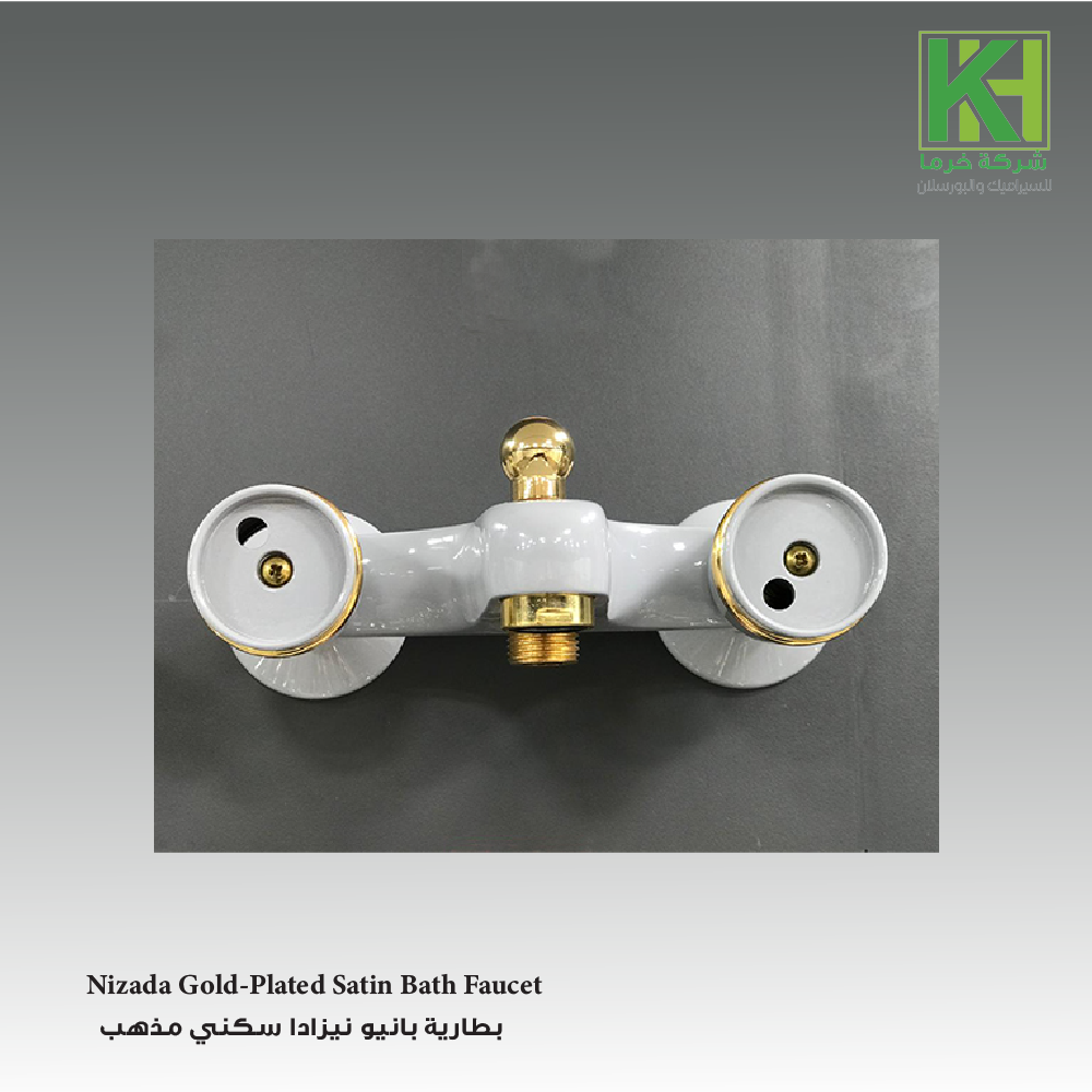 Picture of Nizada Gray Gold-Plated Bath Faucet    